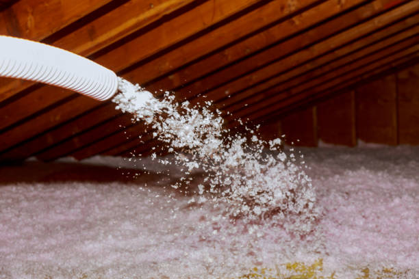 Best Commercial Insulation in Roxboro, NC