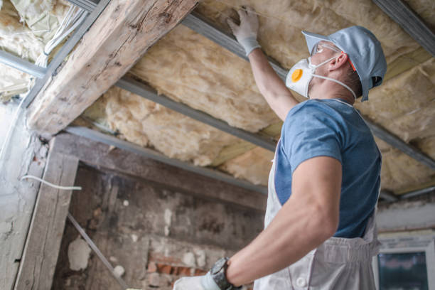 Best Eco-Friendly Insulation in Roxboro, NC