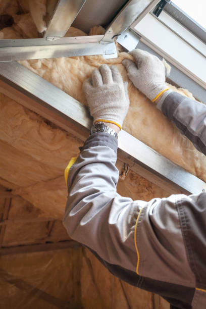 Best Residential Insulation in Roxboro, NC