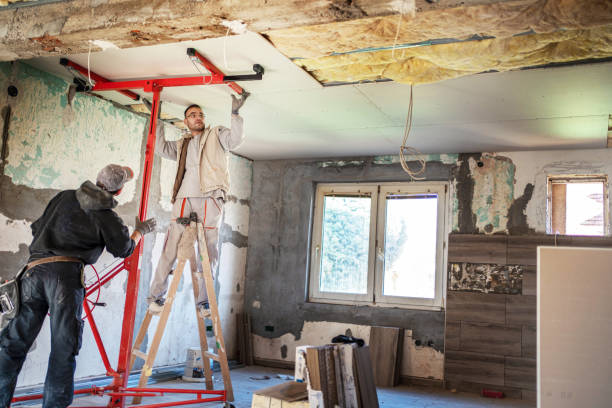 Best Geographic-Specific Insulation Services in Roxboro, NC