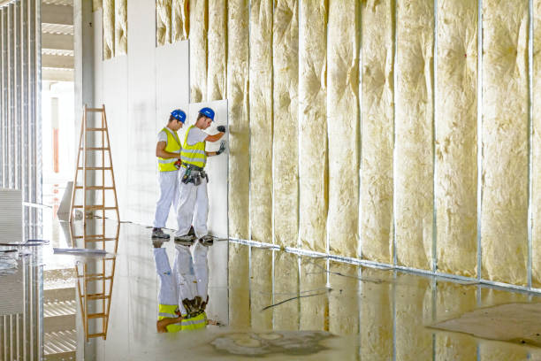 Reliable Roxboro, NC Insulation Contractor Solutions